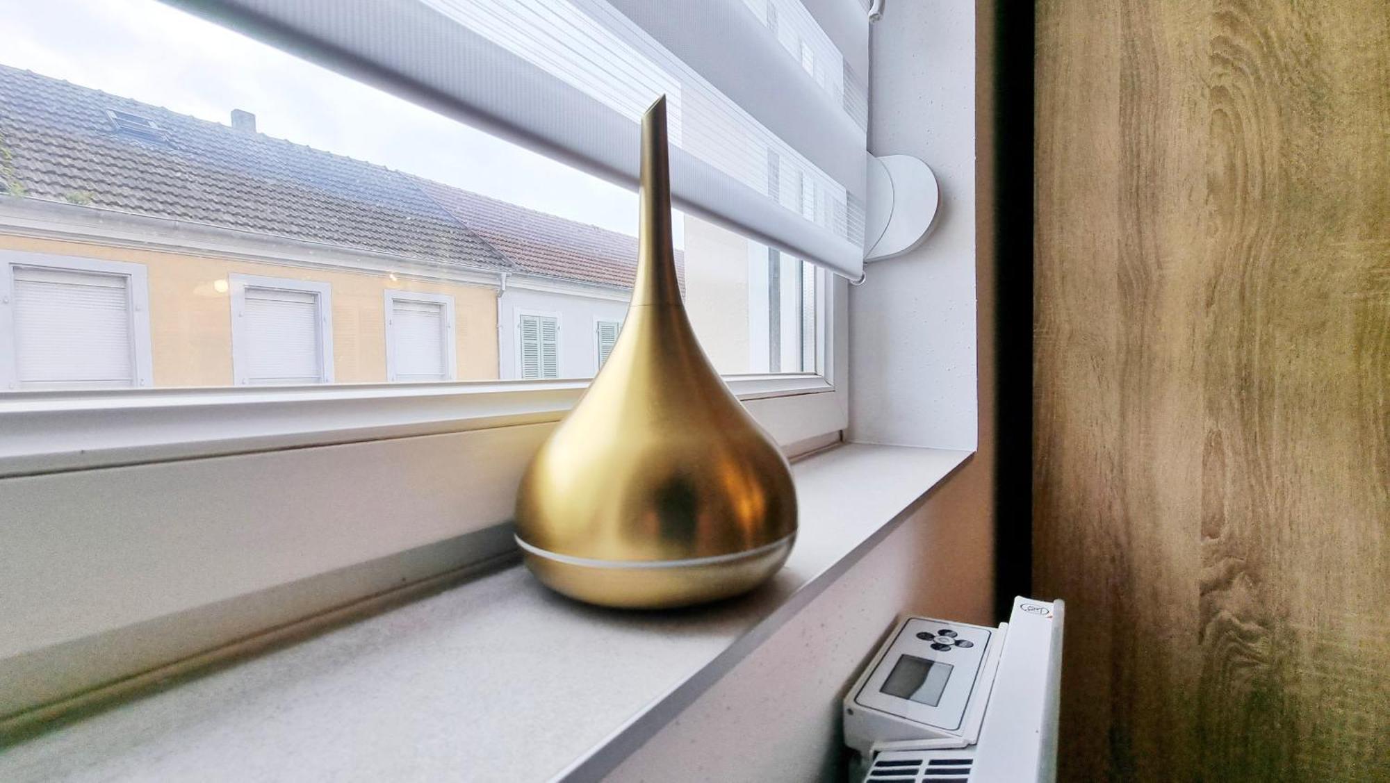 Les Suites Mulhousiennes - Charme & Serenite Mulhouse Exterior foto