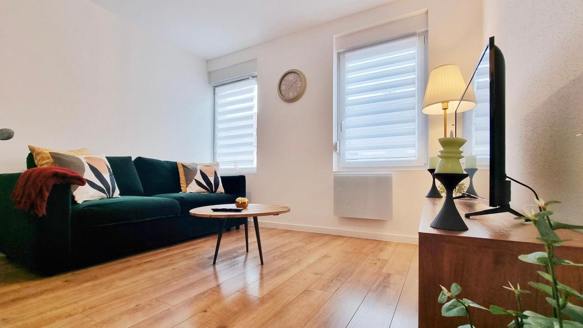Les Suites Mulhousiennes - Charme & Serenite Mulhouse Exterior foto
